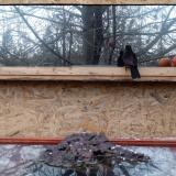 photo 2022-01-20 15-14-47