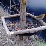 photo 2019-01-03 07-54-21