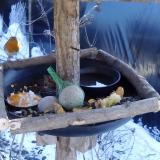 photo 2019-01-21 12-25-30