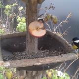 photo 2019-12-05 12-48-32