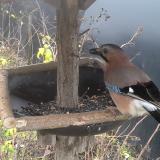 photo 2019-12-23 09-28-19