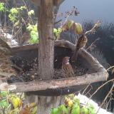 photo 2019-12-02 09-51-40