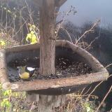 photo 2019-12-23 10-07-54