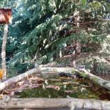 photo 2023-10-06 11-12-12