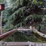 photo 2023-10-10 17-57-13