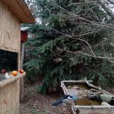 photo 2021-12-19 10-34-09