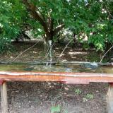 photo 2021-08-03 15-26-05