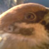 photo 2019-02-14 07-43-08