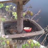 photo 2019-12-06 08-44-37