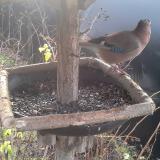 photo 2019-12-25 09-18-09