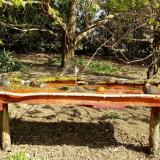 photo 2021-04-12 09-53-20