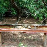 photo 2021-07-14 12-44-26