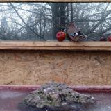 photo 2022-01-16 07-52-58