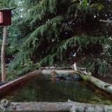 photo 2023-10-10 18-08-47