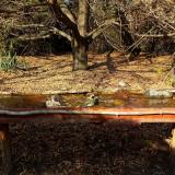 photo 2021-10-27 14-11-01