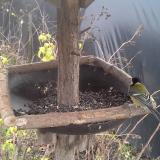 photo 2019-12-22 12-12-48