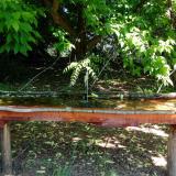 photo 2021-05-21 10-23-09