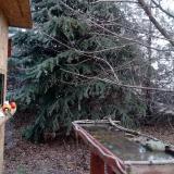 photo 2021-12-15 08-26-01