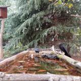 photo 2023-10-10 08-47-53