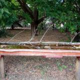 photo 2021-07-01 17-01-51