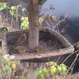 photo 2019-12-12 12-07-49