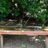 photo 2021-08-04 12-43-29