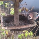 photo 2019-12-12 12-42-20