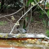 photo 2021-04-29 08-51-53 poszata