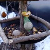 photo 2019-01-15 07-24-43