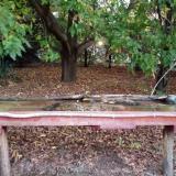 photo 2021-10-03 06-36-47