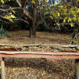 photo 2021-10-21 09-55-45