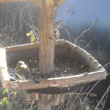 photo 2019-12-26 10-02-09