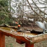 photo 2022-03-17 10-09-49