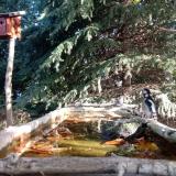 photo 2023-10-16 09-26-13