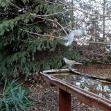 photo 2021-11-15 14-58-24