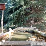 photo 2023-10-17 10-21-24