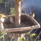 photo 2019-12-16 14-15-43