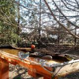 photo 2022-03-23 08-41-15