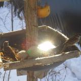 photo 2019-01-27 10-10-55