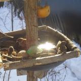 photo 2019-01-27 10-09-13