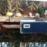 photo 2021-02-13 10-47-48