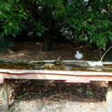 photo 2021-09-28 14-01-21