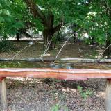 photo 2021-07-04 16-13-43