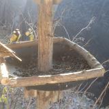 photo 2019-12-30 10-33-34