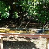 photo 2021-09-13 10-03-08