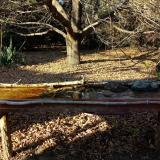 photo 2021-10-25 15-45-08