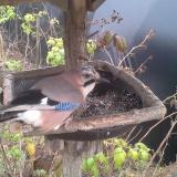 photo 2019-12-12 11-33-55