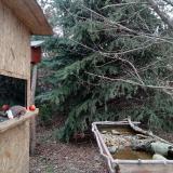 photo 2021-12-19 13-15-53