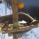 photo 2019-01-27 09-41-45