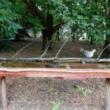 photo 2021-07-05 08-53-46